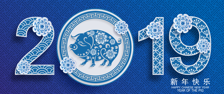 Conception graphique du nouvel an 2019 de style porcelaine chinoise bleu et blanc